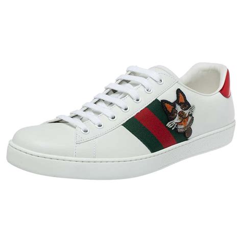 gucci ace sneakers dog|gucci ace sneakers on sale.